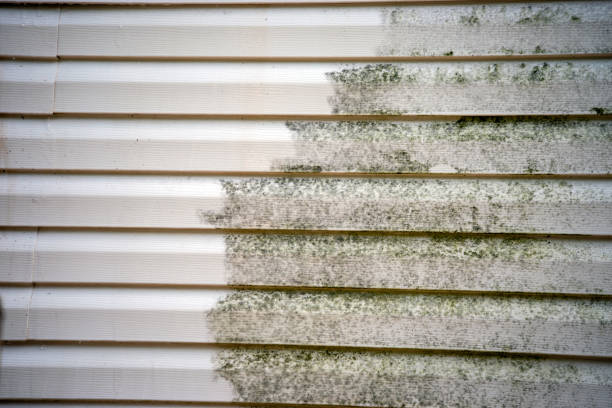 Best Yard Waste Removal  in Anchorage, KY