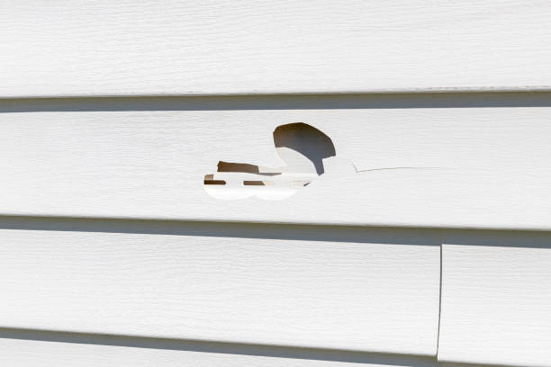 Best Construction Debris Removal  in Anchorage, KY