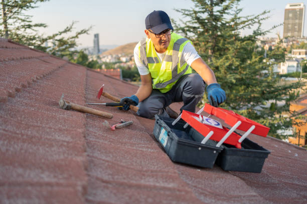 Best Shed Removal  in Anchorage, KY